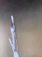 Free <br> Videos