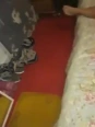 Free <br> Videos