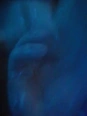 Free <br> Videos