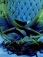 Photo #1
