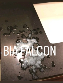 escort image