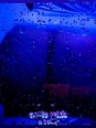 Free <br> Videos