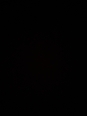Photo #1
