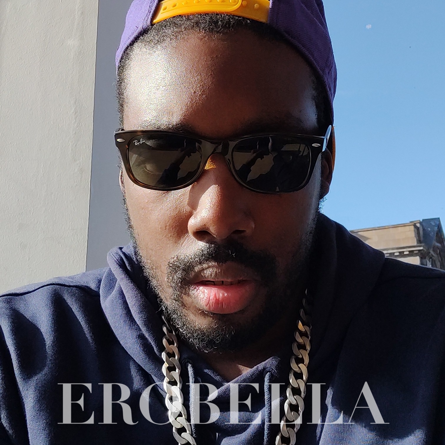 lion-in-birmingham-447931611631-erobella-uk