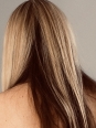 Photo #1
