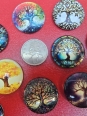 Photo #1
