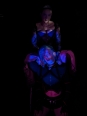 Photo #1