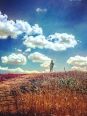 Photo #1