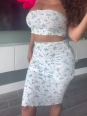 Free <br> Videos