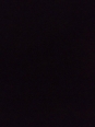 Photo #1