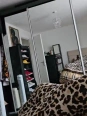 Free <br> Videos