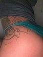 Photo #1