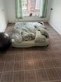 Photo #1