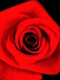 Photo #1