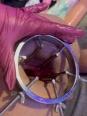 Free <br> Videos