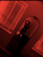Photo #1